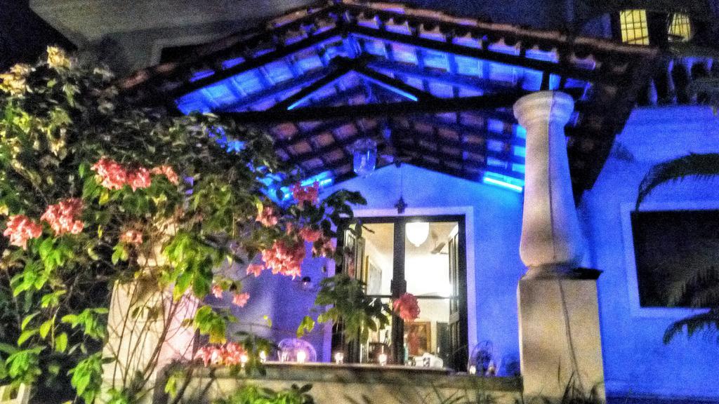 1265 Crescent Villa Candolim Exterior foto